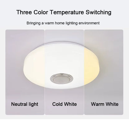 Modern Ceiling Lamps RGB Dimming Home Lighting APP Bluetooth Music Light 42W 60W Smart Ceiling Lights with Remote Control AC220V