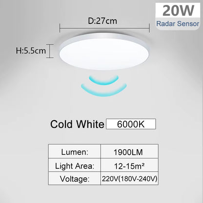 Radar Sensor Ceiling Lamp LED Sensitive Motion Sensor Lights for Hallway 15W 20W 40W Cold White Ceiling Lights for Room Corridor